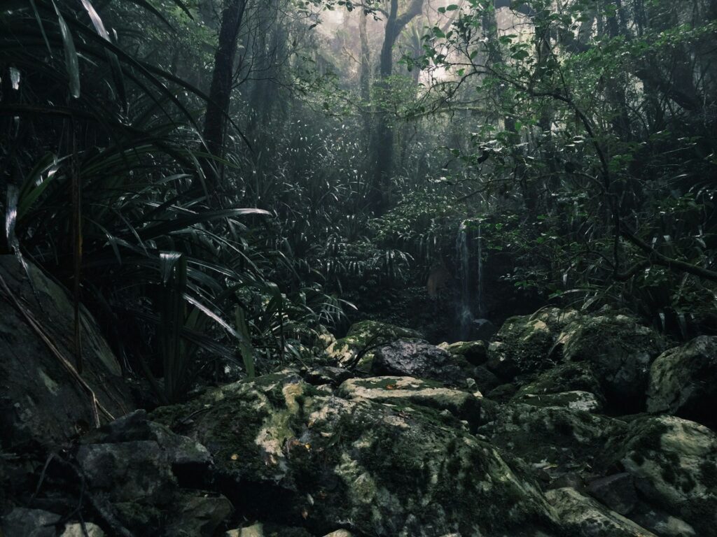 沖縄,松山,バー